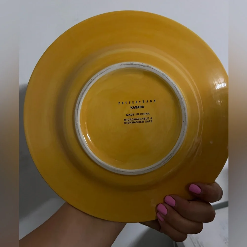 Retire rare Kasara by Pottery Barn